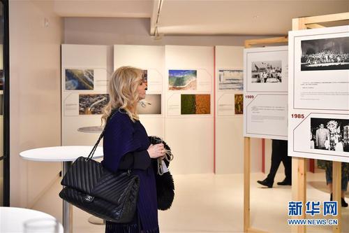 1月8日，一名观众在法国巴黎观看展览。