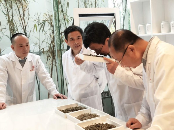 浙江大学茶学研究所和福建省农委的有关专家现场品鉴国号福鼎白茶的新茶质量。李伟 摄影