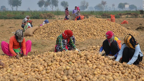 190425160702-lays-india-potato-farmers-super-169.jpg