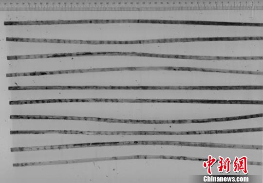 荆州龙会河北岸墓地M324出土战国楚简红外扫描照片。荆州博物馆供图