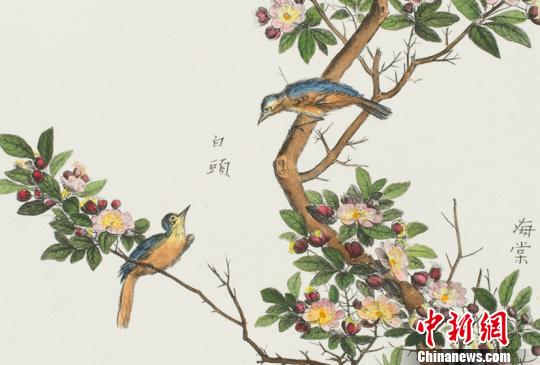 展品《中国植物——海棠》。黑龙江省美术馆提供