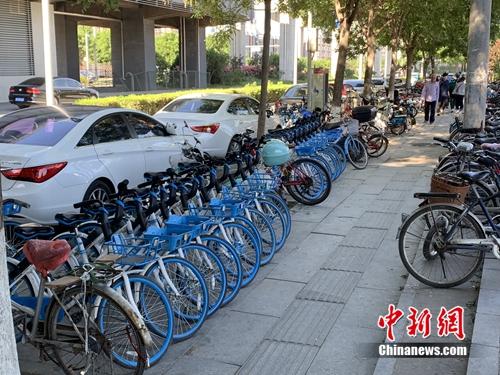 北京某郊区地铁口的共享单车。<a target='_blank' href='http://www.chinanews.com/' >中新网</a> 吴涛 摄