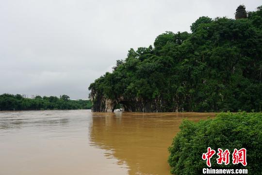 图为桂林城徽象鼻山被淹。　唐梦宪 摄