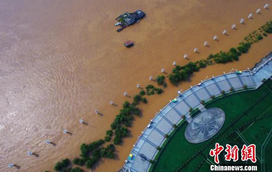 6月11日，航拍赣江南昌段水位暴涨，沿江景观树受淹在浑浊的江水之中。　刘占昆 摄