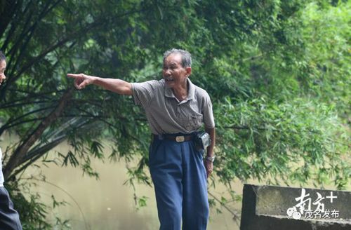 茂名81岁老人跳下4米深河救人:人命怎么样都要救