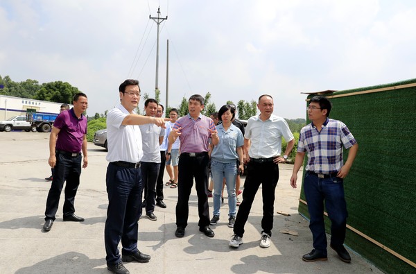 重庆市长寿区政协视察桃花河污染整治工作