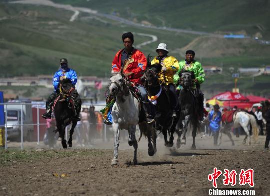 图为来自甘、青、宁等地的选手参加抓喜秀龙镇赛马节。　崔琳 摄