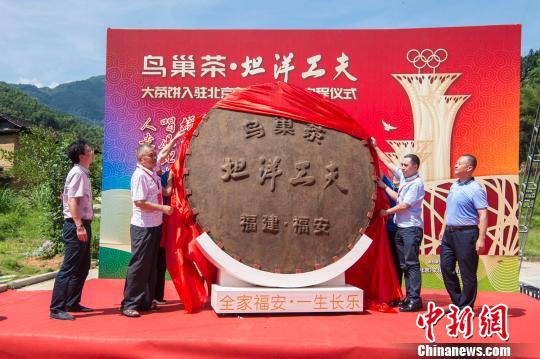 国内最大红茶饼亮相福建福安将入驻北京奥林匹克塔