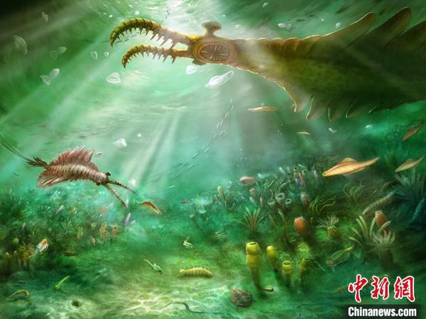 图为澄江生物群生态复原图。中国科学院南京地质古生物研究所供图