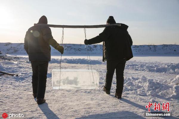 3 取冰当日参与人数约250人，取出2500余块冰，每块冰重约200斤。图片来源：ICphoto