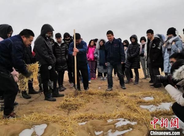 图为深圳师生体验莫高窟治沙工程，亲手种下了一方草方格。　杜玉磊 摄