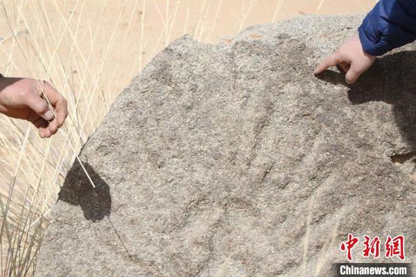 内蒙古阿拉善再次发现11幅岩画