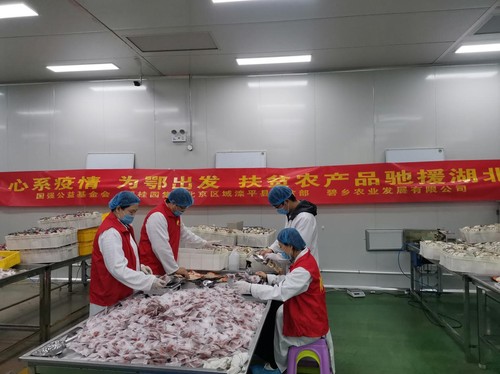 滦平县大屯工业园区内工人在为爱心果干整理包装