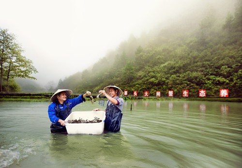 图为三穗县台烈镇寨头村大闸蟹生态养殖基地，村民露出收获的喜悦。