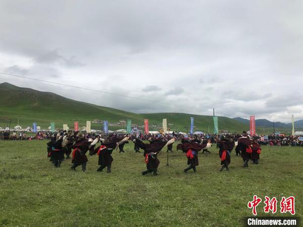 图为甘肃甘南藏族自治州夏河县第三届拉卜楞则柔大赛在桑科草原举行。(资料图) 徐雪 摄