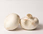 为什么蘑菇的味道那么鲜美？