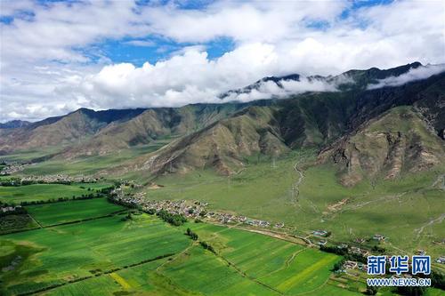 拉萨市林周县边交林乡田园景色（7月14日摄，无人机照片）。 林周县地处西藏中部，拉萨河上游。夏日时节，这里水草丰茂，绿意盎然，河流、村落、农田组成一幅美丽的田园画卷。