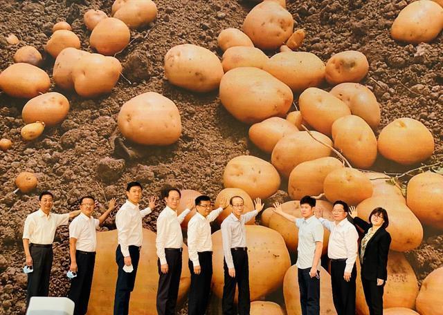 携手中国扶贫基金会合力扶贫 帮扶甘肃千名贫困农户种土豆