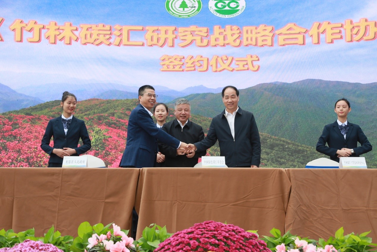 中国绿色碳汇基金会10周年主题公益活动在龙游举办