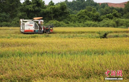 农业农村部提早部署2021年杂交早稻供种工作