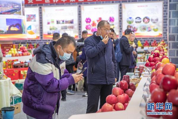 11月28日，在重庆国际博览中心举行的第十八届中国国际农产品交易会上，观众在陕西延安展区观看挑选不同品种的苹果。新华社记者 黄伟 摄