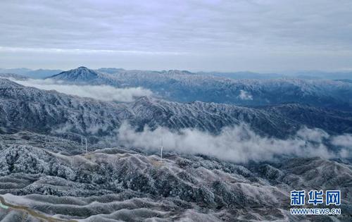 这是广西融水苗族自治县杆洞乡尧告村摩天岭牛场的雪景 （无人机照片，1月8日摄）。