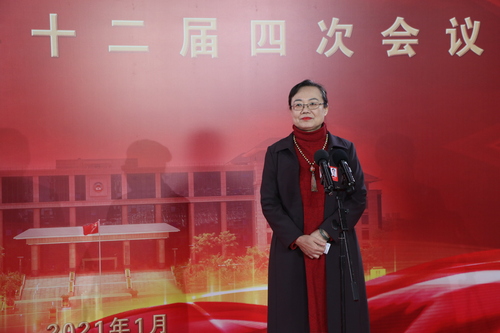 广西壮族自治区政协委员、自治区妇联副主席陈映红  肖亮升摄