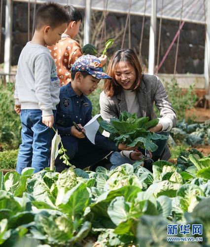 谢丞恩在农场内带领来参观的小朋友们认识蔬菜（2月20日摄）。新华社记者 季春鹏 摄