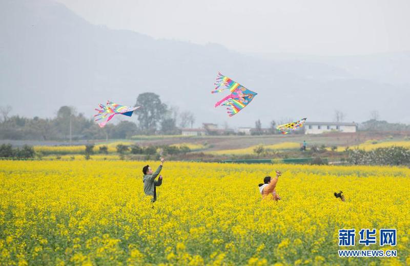 2月27日，游客在成都市金堂县三溪镇长林村油菜花田里放风筝。