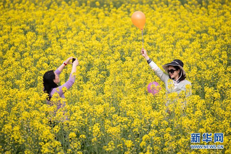 　2月27日，两名游客在成都市金堂县三溪镇长林村油菜花田里拍照。