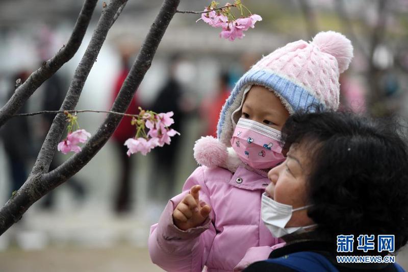 　3月18日，游客在玉渊潭公园樱花树下赏樱。