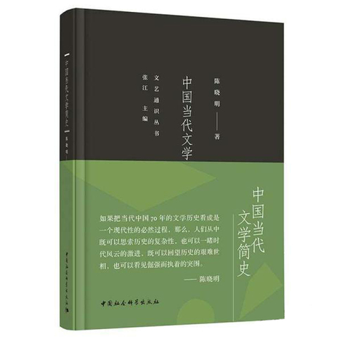 《中国当代文学简史》：一路导览文学的风景