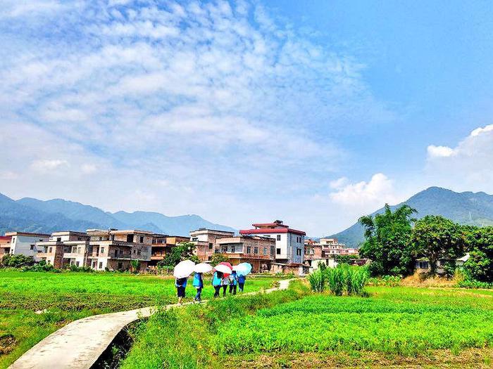 乡间小路上，广东省“双百计划”社工入村开展志愿服务。