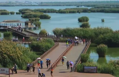 “团建＋旅游” 宁夏沙湖开启新型旅游全新实践