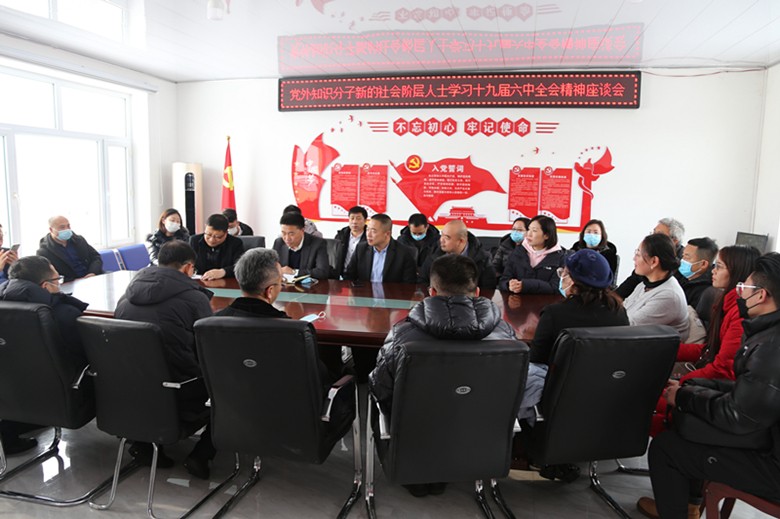 吉林省长春市党外知识分子和新的社会阶层人士 学习贯彻党的十九届六中全会精神