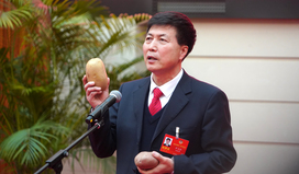 内蒙古自治区政协委员尹玉和：保证让种植农民买上放心合格种薯