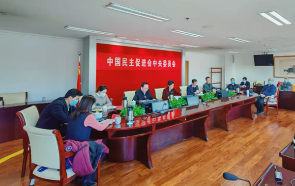 陶凯元出席民进中央社会和法制委员会全体会议