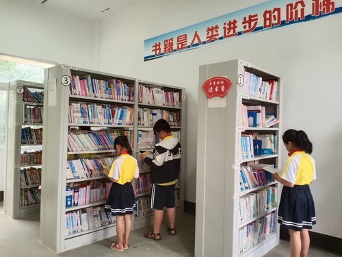 图为富川瑶族自治县柳家乡洋新小学学生在“书香政协读书角”悦览图书