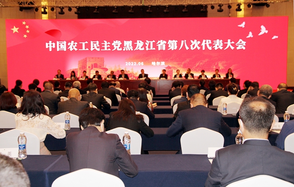 中国农工民主党黑龙江省第八次代表大会闭幕 马立群当选主委