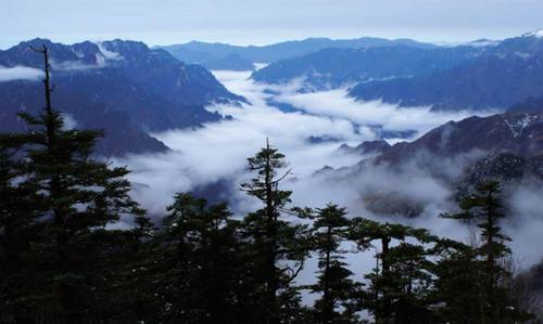 湖北神龙架国家公园体制试点区位于湖北省神(1240476)-20220729085308