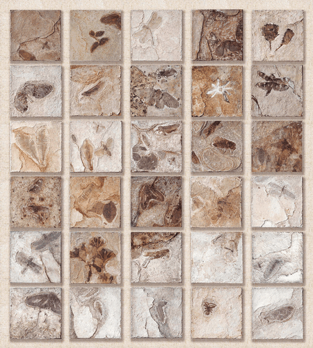 侏罗纪花园（综合材料绘画）200×230cm-2014年-钱兆峰