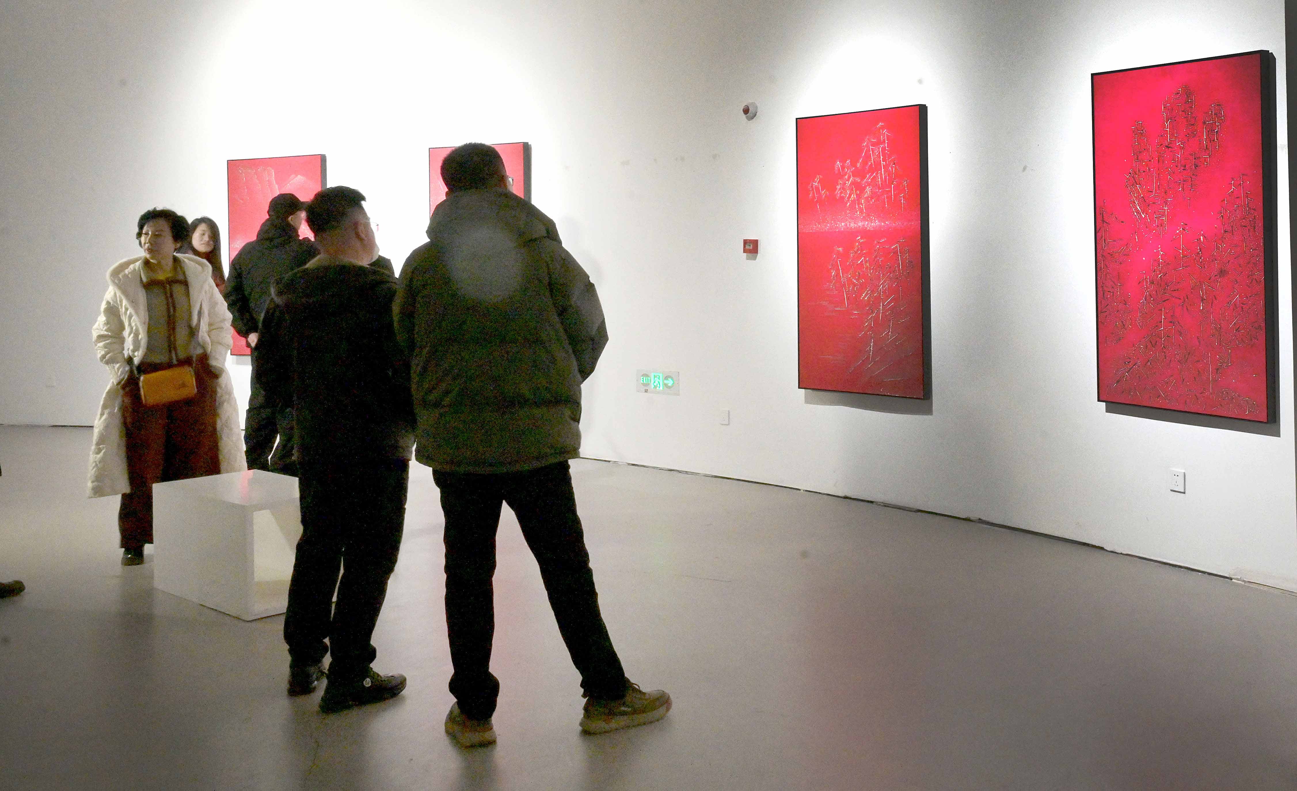 『彼是方生』熊龙灯作品展在奈目美术馆开幕