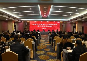 民盟四川省第十三届委员会第三次全体会议在蓉召开
