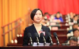 张雪玲委员：推动数字经济高质量发展 加快形成新质生产力