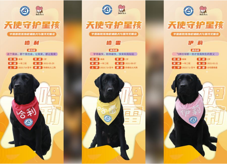 “送给星星孩子疗愈犬”公益项目媒体发布会在粤举行