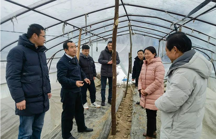 农科院专家团助力受灾地区恢复蔬菜生产 