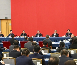 李强参加经济、农业界委员联组会