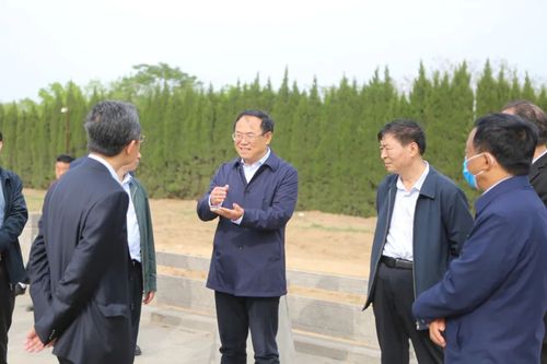  △ Xu Huiqian, Chairman of the CPPCC Puyang Municipal Committee, visited Puyang County to investigate the preparations for the 2022 Puyang Zhang Family Name Cultural Festival