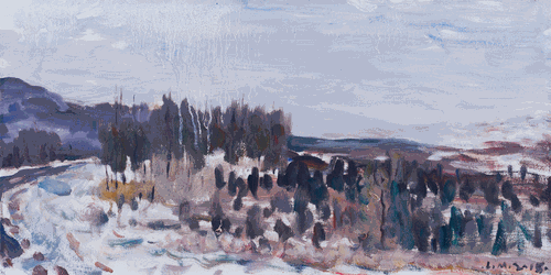 冬-去（油画）30×60cm-2018年-林-茂