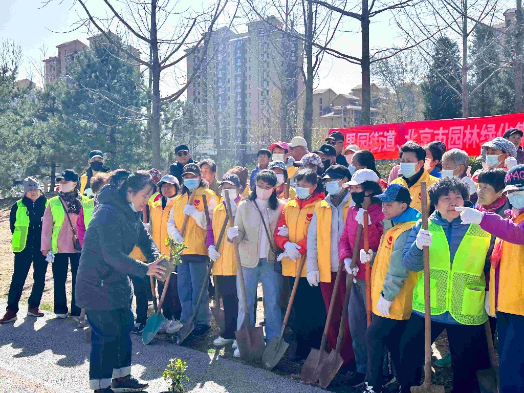北京苹果园街道开展“参与义务植树尽责 助力花园城市建设”义务植树活动